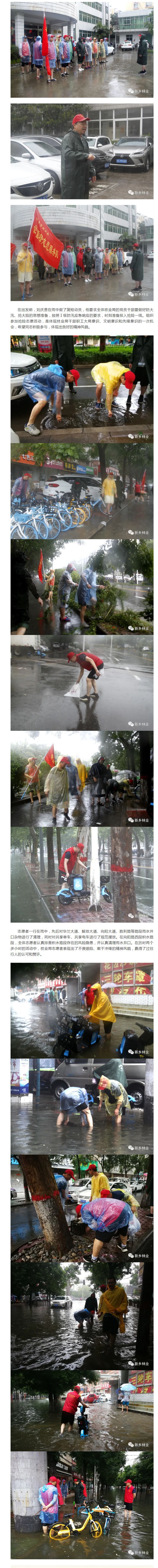 应对红色暴雨预警，新乡林业志愿者在行动