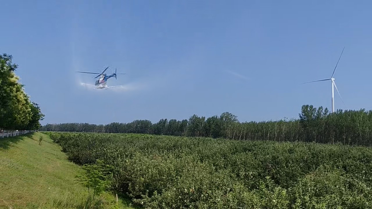 飞防_03