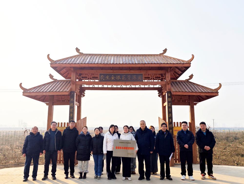 首家省级金银花种质资源库落地封丘，河南金银花种业迈入新阶段
