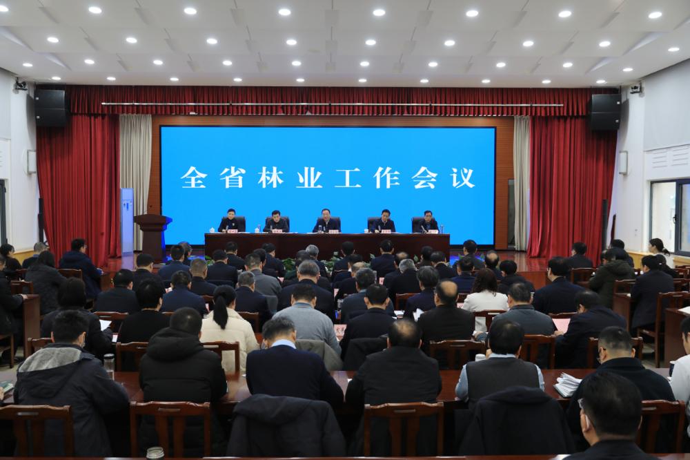 2026年全省林业工作会议召开