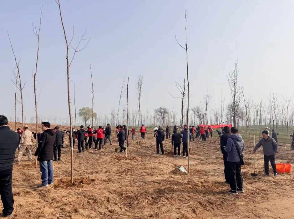 “植”此青绿，共赴春约！