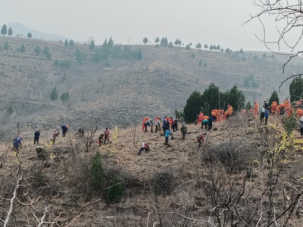 新乡市林业工作站开展科技下乡活动