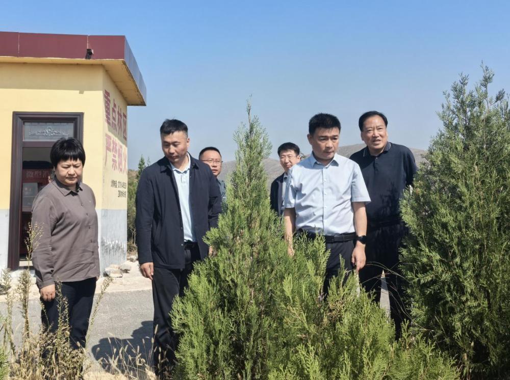 新乡市林业局领导赴卫辉市实地察看中央生态环境保护督察反馈典型案例整改成效